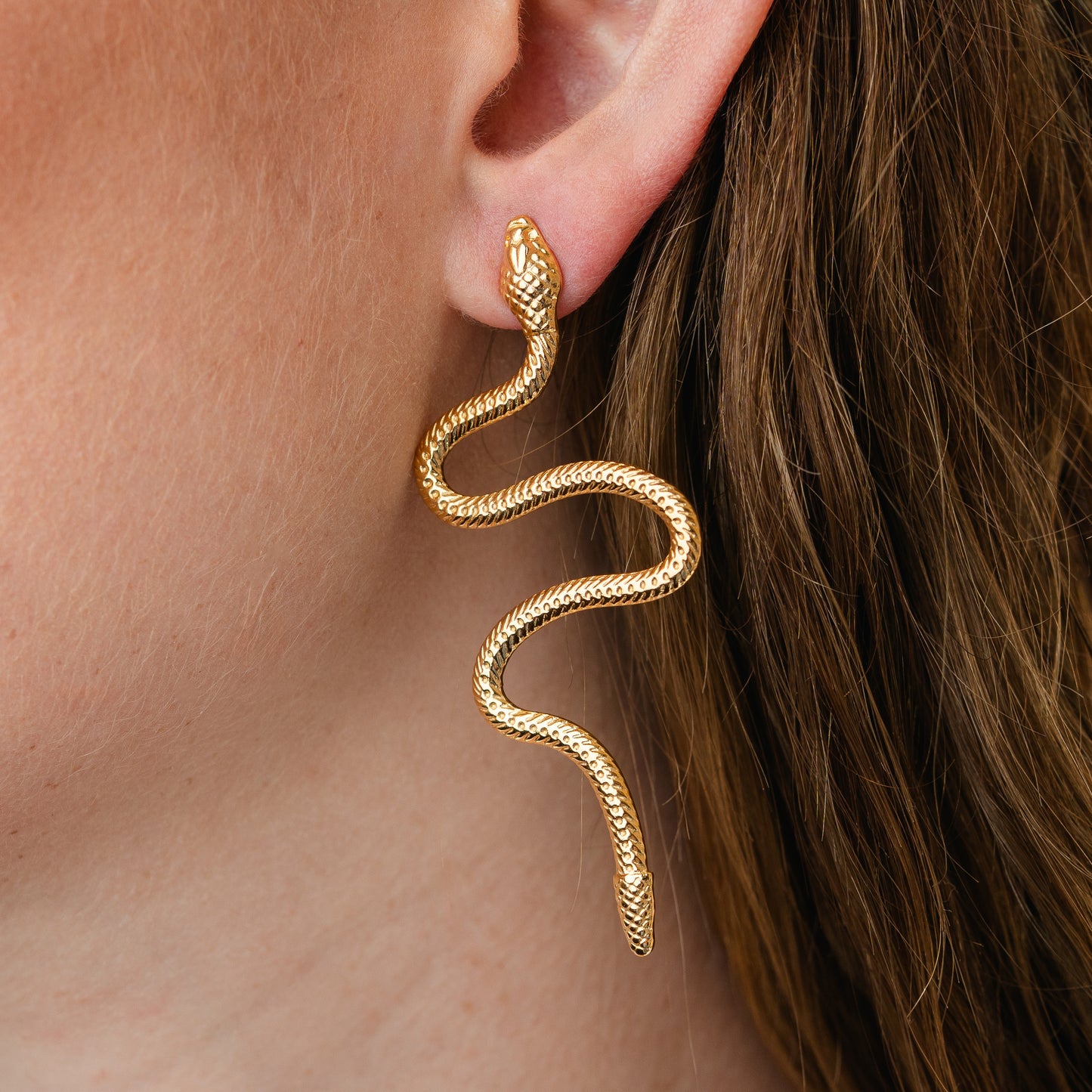 Aros pegados serpientes