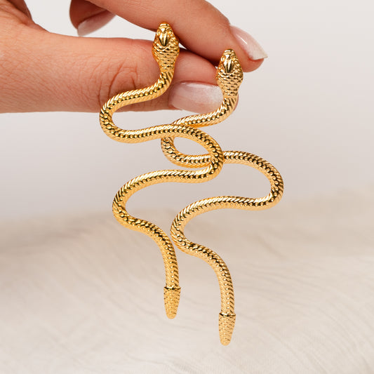 Aros pegados serpientes