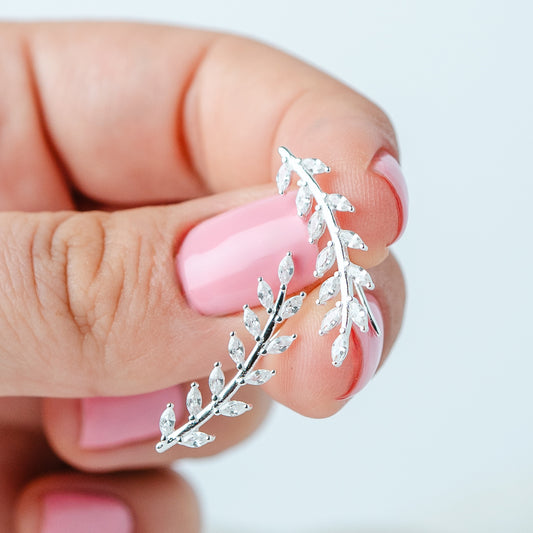 Aros pegados trepadores de espiga